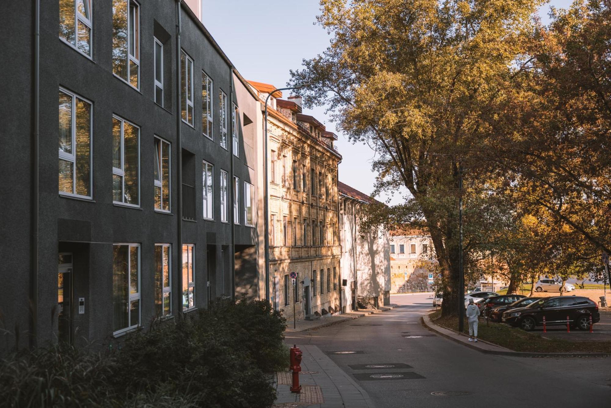 Ivis House Modern Apartment In Vilnius Old Town With Balcony Екстериор снимка